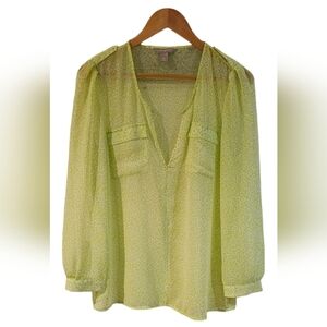 Banana Republic - Animal Print Sheer Deep V-Neck Ruffled Sleeves Long Sleeve Top